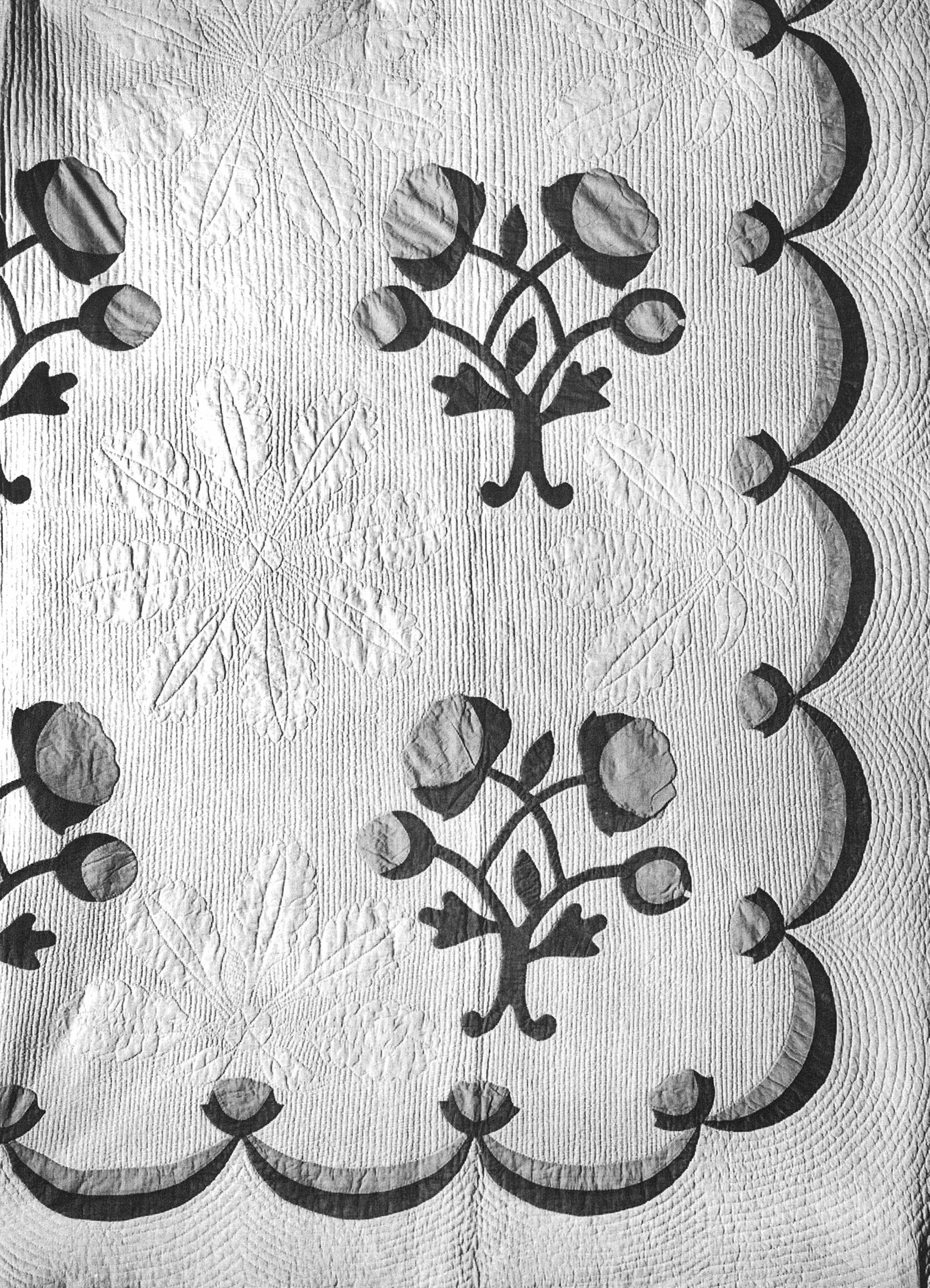 Close-up photograph showing quilting stitches around an appliquéd rose
